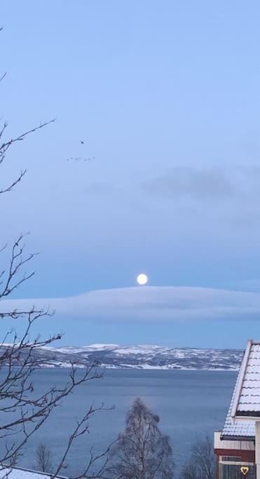 Leilighet Ved Porten Til Senja Lägenhet Finnsnes Exteriör bild