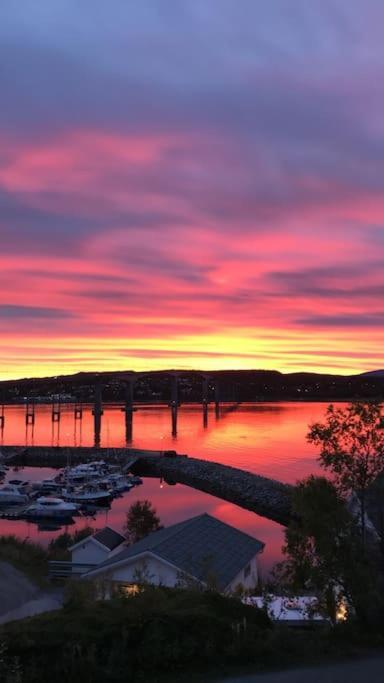 Leilighet Ved Porten Til Senja Lägenhet Finnsnes Exteriör bild